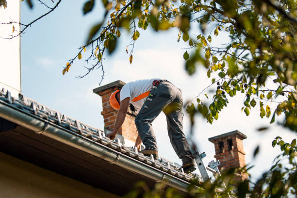 Best Roof Moss and Algae Removal  in Hughestown, PA